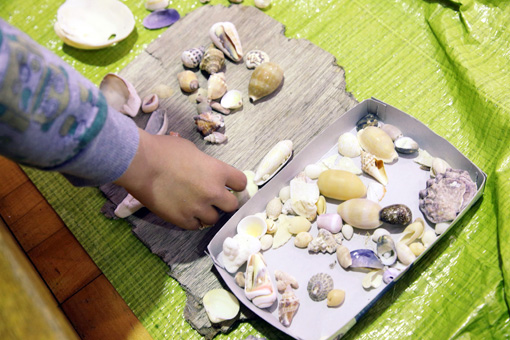 色々なかたちの貝殻 Photo：Yukiko Koshima