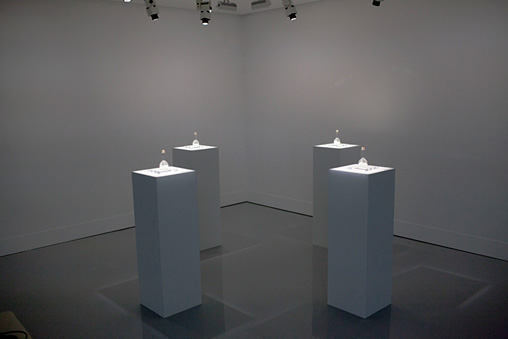 資生堂ギャラリー展示風景『Four studies on odor  香りについての4つのスタディ』　Photo：Tanaka Pinto