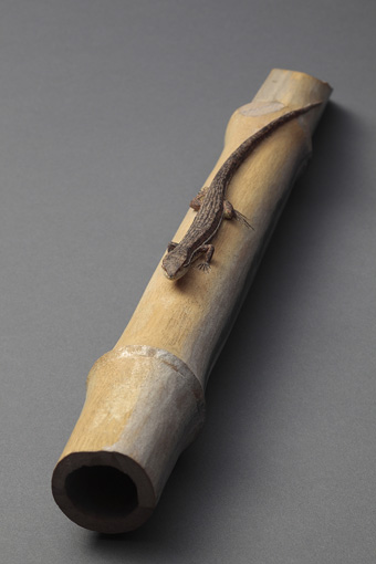 竹と蜥蜴は一見別々のパーツに見えるが、すべて一本の木から彫り出している / 宮本理三郎『春日　竹に蜥蜴』　木　昭和時代　長約40cm