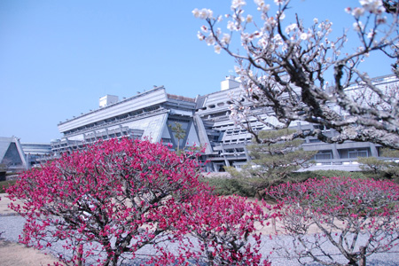 国立京都国際会館　梅と外観