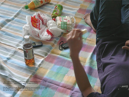 LEE Kit『Picnic at home on hand-painted cloth』2008年