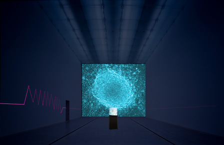 BCL『Ghost in the Cell / Simulation』2015年　画像制作：金沢21世紀美術館