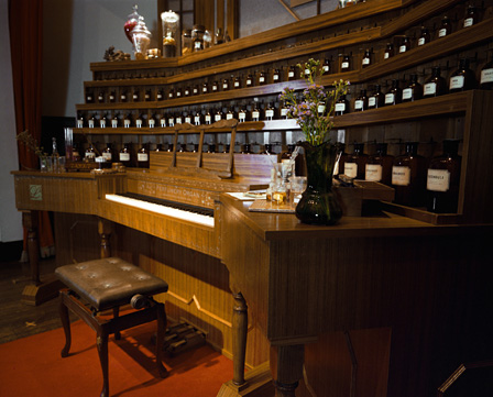 Perfumery Organ　photo：黑田菜月