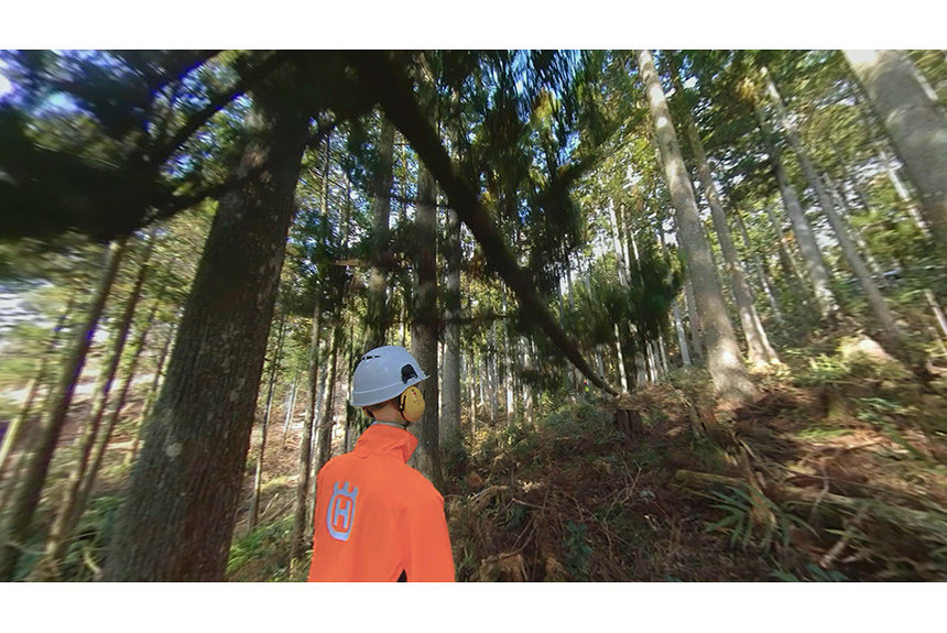 VRで安全に林業研修が行える『林業安全教育360VR』