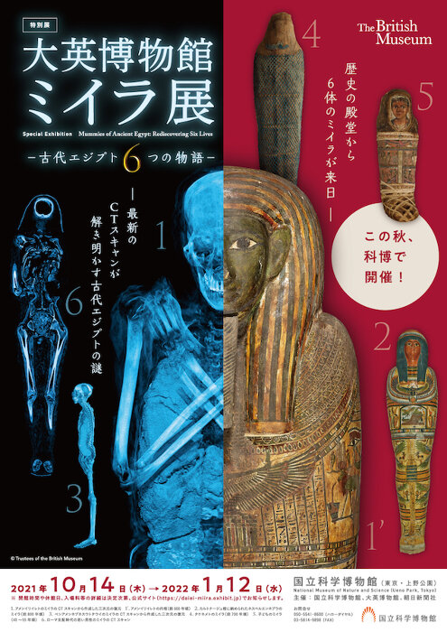 大英博物館ミイラ展 古代エジプト6つの物語』10月から「かはく」で開催 