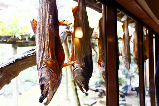 村上名物・吊るし鮭。鮭のおかげで豊かになった村上藩が「鮭に切腹させてはいけない」という理由から、腹の部分につなぎ目を1か所残すのが伝統