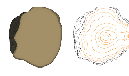 左：ハートランドのロゴマークをもとにCGで作られた木の断面、右：CGに手描きで動きと年輪を加えたスケッチ